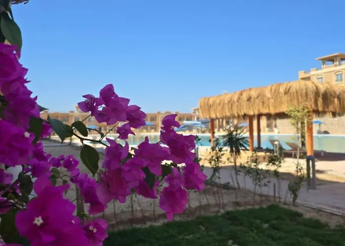Apartment Bay View, Sahl Hashish, *